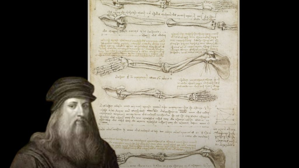 diverse talents of Leonardo da Vinci